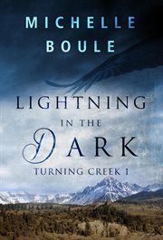 Lightning in the dark cover image