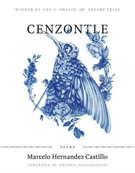 Cover image for Cenzontle