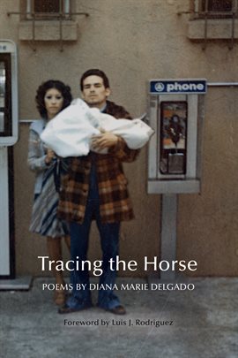 Cover image for Tracing the Horse