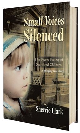 Cover image for SMALL VOICES SILENCED