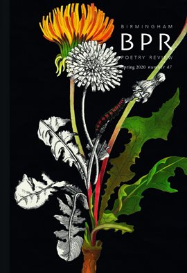 Cover image for Birmingham Poetry Review