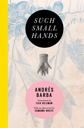 Cover image for Such Small Hands