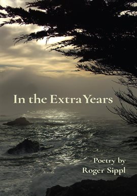Cover image for In the Extra Years