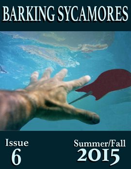 Cover image for Barking Sycamores 6
