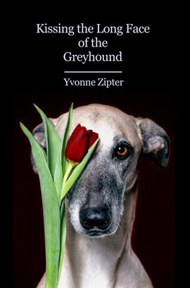 Cover image for Kissing the Long Face of the Greyhound