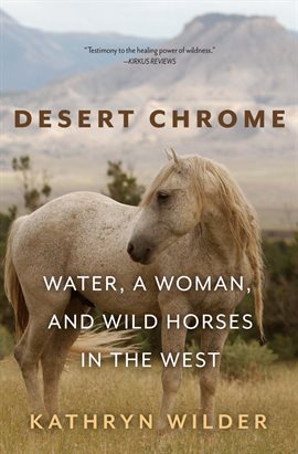 Cover image for Desert Chrome