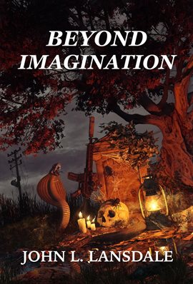 Cover image for Beyond Imagination