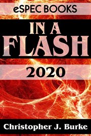 In a flash 2020 cover image