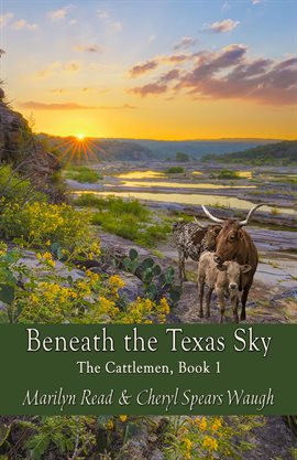 Cover image for Beneath the Texas Sky