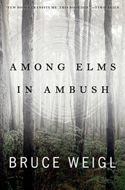 Among elms, in ambush cover image