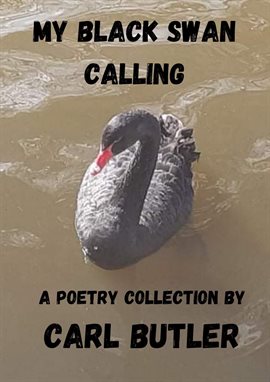 Cover image for My Black Swan Calling
