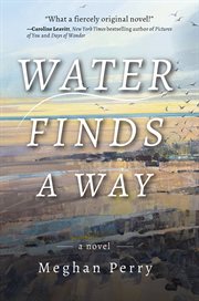 Water Finds a Way a Novel cover image