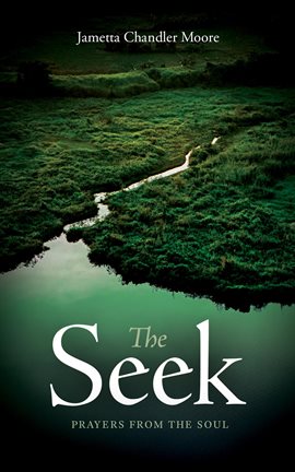 Cover image for The Seek