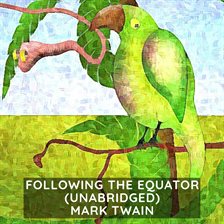 Cover image for Following the Equator