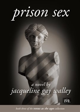 Cover image for Prison Sex