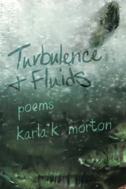 Turbulence & fluids cover image