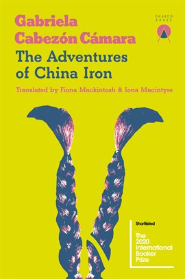 Cover image for The Adventures of China Iron