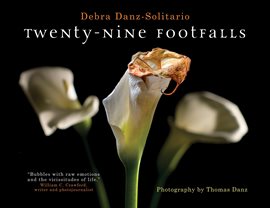 Cover image for Twenty-Nine Footfalls