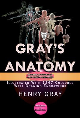 Cover image for Gray's Anatomy