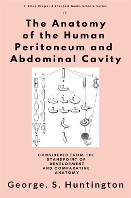 Cover image for The Anatomy of the Human Peritoneum and Abdominal Cavity