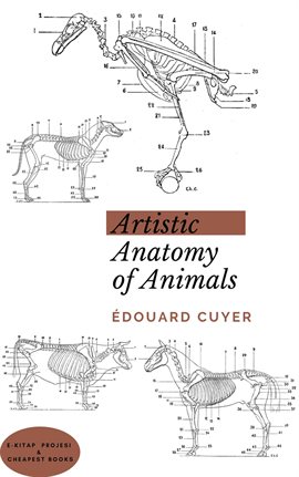 Cover image for Artistic Anatomy of Animals