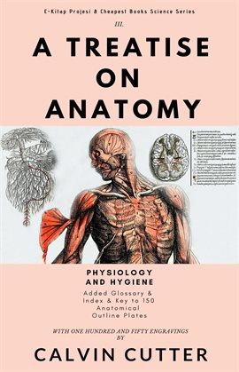 Cover image for A Treatise on Anatomy