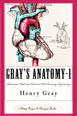 Cover image for Gray's Anatomy-I