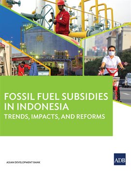 Cover image for Fossil Fuel Subsidies in Indonesia