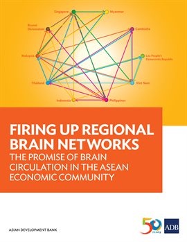 Cover image for Firing Up Regional Brain Networks