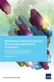 Redefining strategic routes to financial resilience in ASEAN+3 cover image