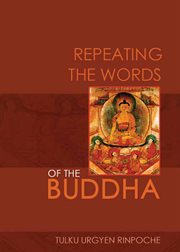 Repeating the words of the Buddha cover image