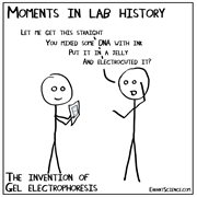 Sally and the Big Lab Experiment : A Gel of a Time! cover image