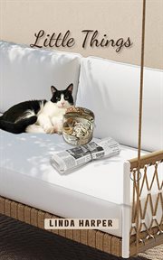 Little Things cover image