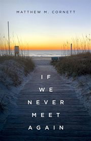 If We Never Meet Again cover image