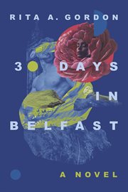 30 days in belfast cover image