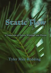 Static Flow cover image