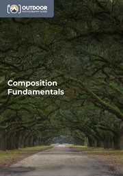Composition fundamentals cover image