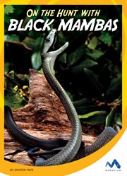 On the Hunt with Black Mambas cover image
