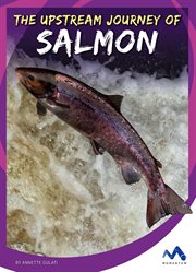 The upstream journey of salmon cover image