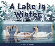A lake in winter cover image