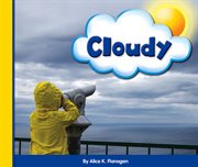Cloudy cover image