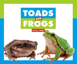 Search Results For Toads - forzita roblox