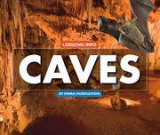Looking into caves cover image