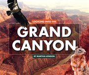 Looking into the grand canyon cover image