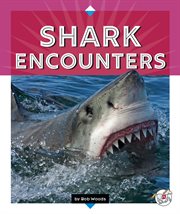 Shark encounters cover image