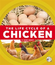 The life cycle of a chicken cover image