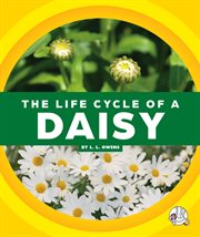 The life cycle of a daisy cover image