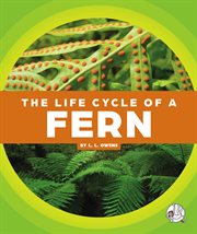 The life cycle of a fern cover image