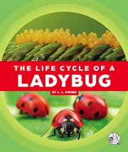 The life cycle of a ladybug cover image