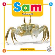 Sam : The Sound of s cover image
